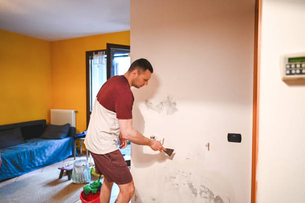 Best Bathroom Mold Remediation in Wake Village, TX